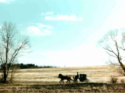 Stantsionnyy smotritel (1972) with English Subtitles on DVD - Image 2