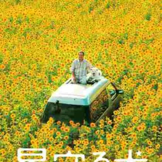 Star Watching Dog (2011) with English Subtitles on DVD