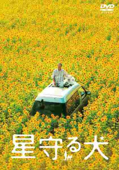 Star Watching Dog (2011) with English Subtitles on DVD