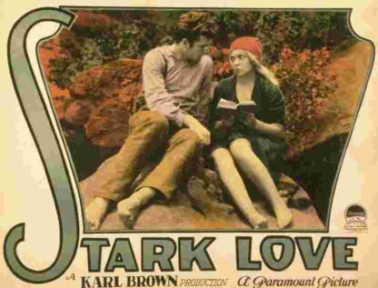 Stark Love (1927) Starring Helen Mundy on DVD - Image 3
