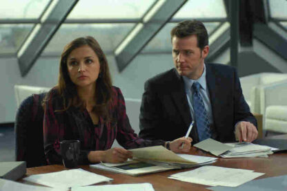 Stealing Paradise (2011) Starring Rachael Leigh Cook on DVD - Image 2