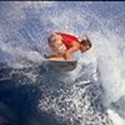 Step Into Liquid (2003) Starring Robert August on DVD