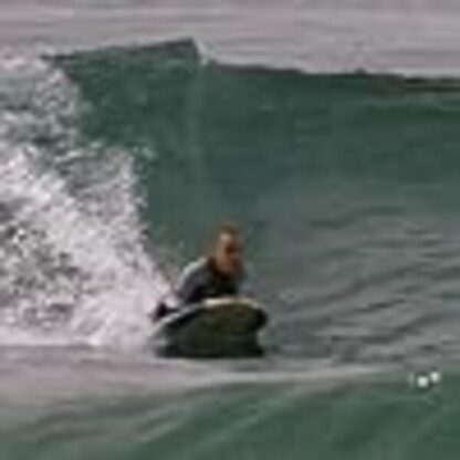 Step Into Liquid (2003) Starring Robert August on DVD - Image 2