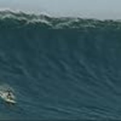 Step Into Liquid (2003) Starring Robert August on DVD - Image 3