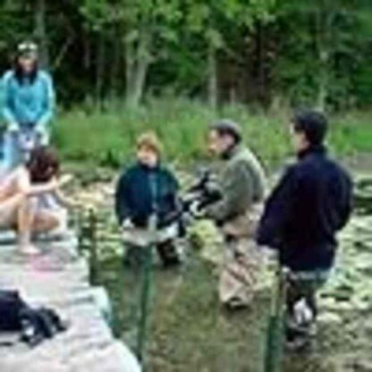 Stephanie Daley (2006) Starring Amber Tamblyn on DVD - Image 2