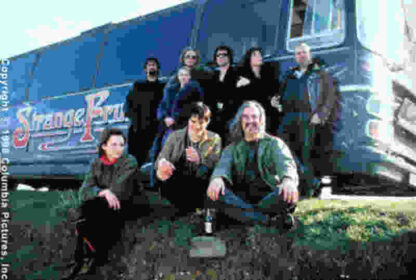 Still Crazy (1998) Starring Stephen Rea on DVD - Image 2