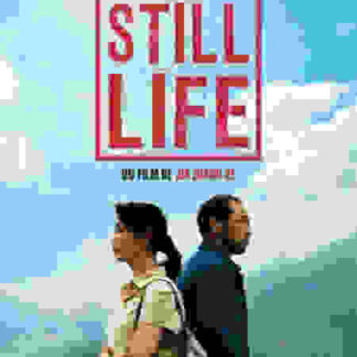 Still Life (2006) with English Subtitles on DVD