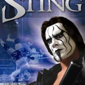Sting: Moment of Truth (2004) Starring Steve Borden on DVD