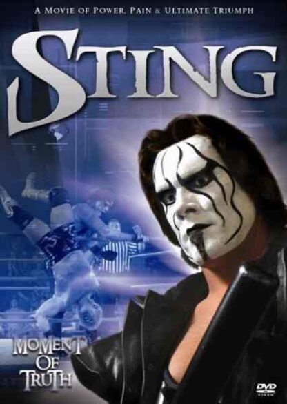 Sting: Moment of Truth (2004) Starring Steve Borden on DVD
