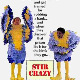 Stir Crazy (1980) Starring Gene Wilder on DVD