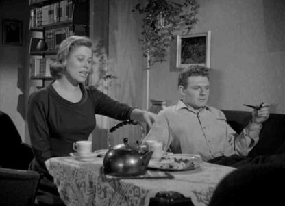 Støv på hjernen (1959) with English Subtitles on DVD - Image 4