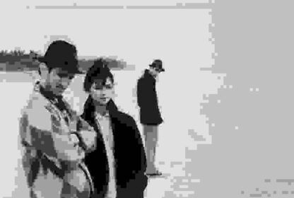 Stranger Than Paradise (1984) Starring John Lurie on DVD