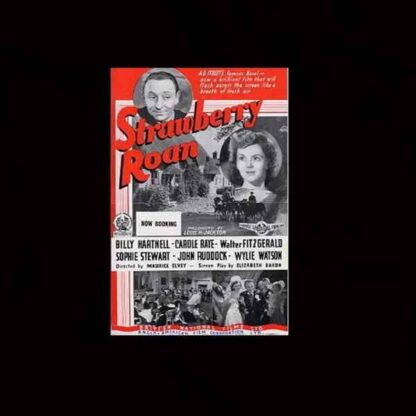Strawberry Roan (1944) Starring William Hartnell on DVD - Image 3