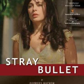 Stray Bullet (2010) with English Subtitles on DVD