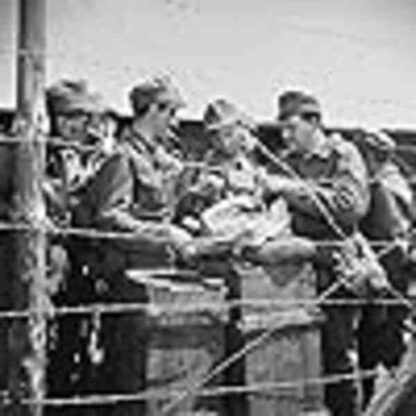 Styridsatstyri (1958) with English Subtitles on DVD - Image 3