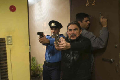 Suave Patria (2012) with English Subtitles on DVD - Image 4
