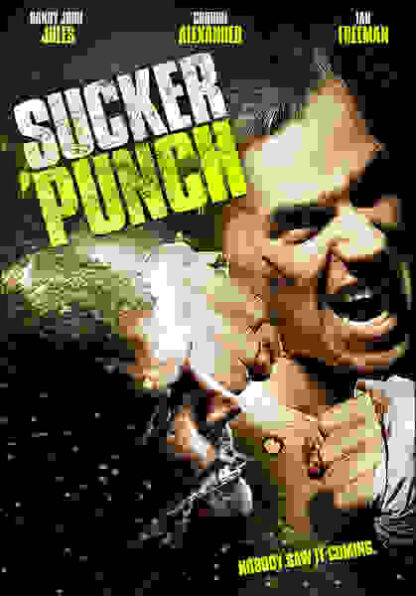 Sucker Punch (2008) Starring Gordon Alexander on DVD - Image 2