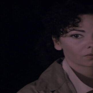 Sudden Love (1984) with English Subtitles on DVD
