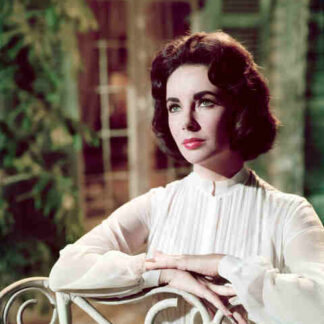 Suddenly, Last Summer (1959) Starring Elizabeth Taylor on DVD