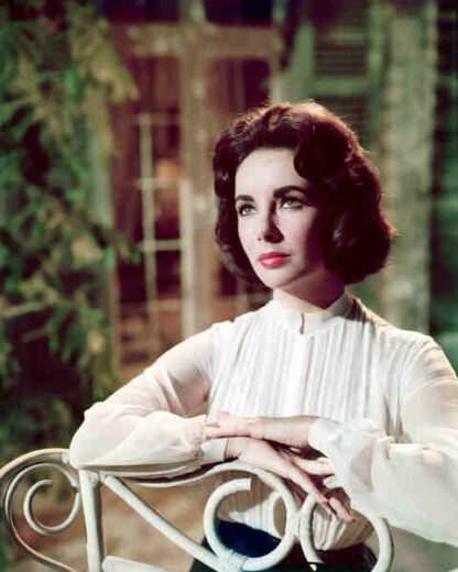 Suddenly, Last Summer (1959) Starring Elizabeth Taylor on DVD