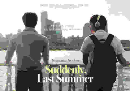 Suddenly Last Summer (2012) with English Subtitles on DVD