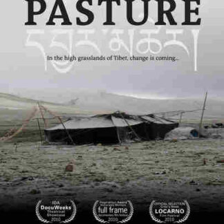 Summer Pasture (2010) with English Subtitles on DVD