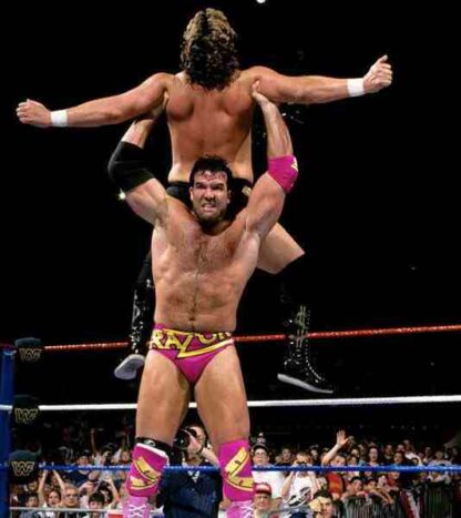 Summerslam (1993) Starring Yokozuna on DVD - Image 4