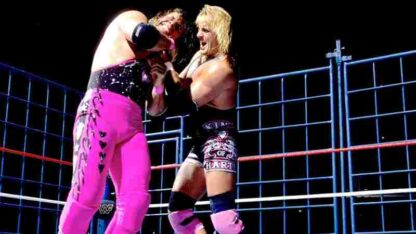 Summerslam (1994) Starring Bret Hart on DVD - Image 3
