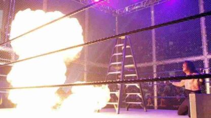 Summerslam (2008) Starring Mark Calaway on DVD - Image 3