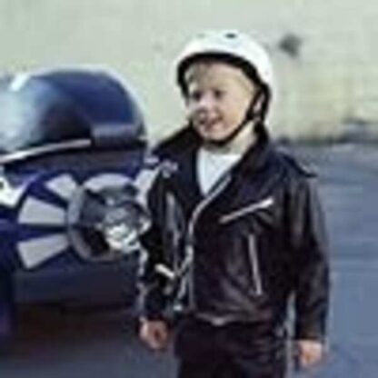 Superbabies: Baby Geniuses 2 (2004) Starring Jon Voight on DVD - Image 2
