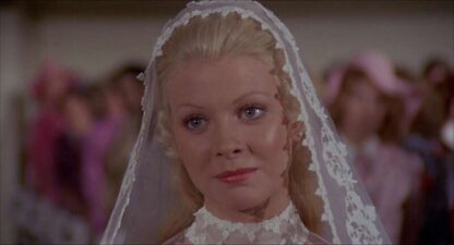 Superdad (1973) Starring Bob Crane on DVD - Image 2