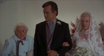 Superdad (1973) Starring Bob Crane on DVD - Image 4