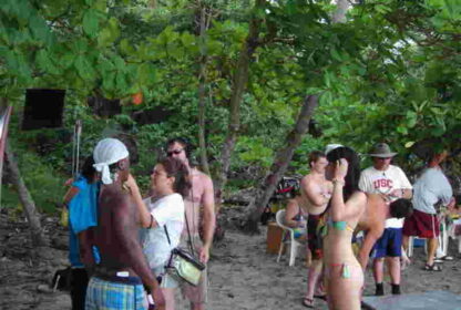 Surf School (2006) Starring Harland Williams on DVD - Image 3