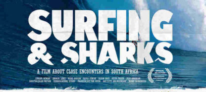Surfing and Sharks (2011) Starring  on DVD - Image 3