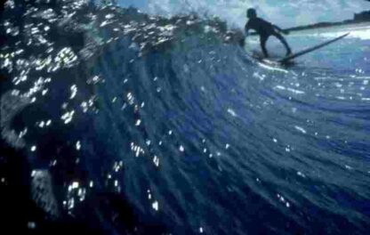Surfwise (2007) Starring Juliette Paskowitz on DVD - Image 3