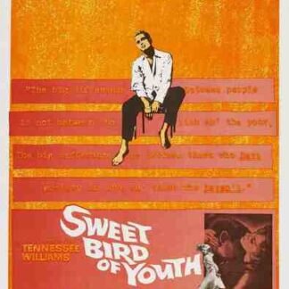 Sweet Bird of Youth (1962) Starring Paul Newman on DVD