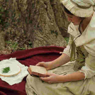 Sybil Ludington (2010) Starring Micah Morgan on DVD