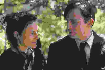 Sylvia (2003) Starring David Birkin on DVD