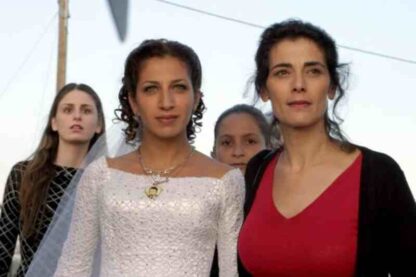 Syrian Bride (2004) with English Subtitles on DVD - Image 3
