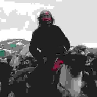 Taiga (1992) with English Subtitles on DVD