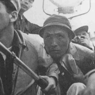 Taiheiyô no washi (1953) with English Subtitles on DVD