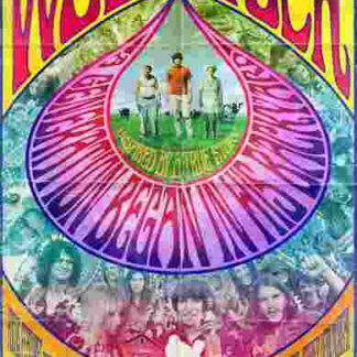 Taking Woodstock (2009) Starring Henry Goodman on DVD