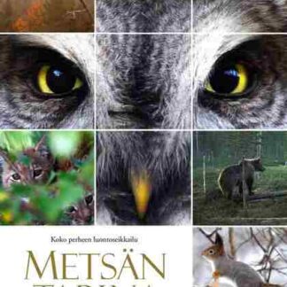Tale of a Forest (2012) with English Subtitles on DVD