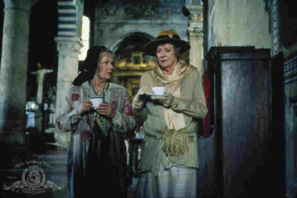 Tea with Mussolini (1999) Starring Cher on DVD - Image 3