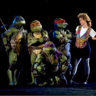 Teenage Mutant Ninja Turtles (1990) Starring Judith Hoag on DVD