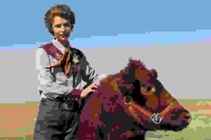 Temple Grandin (2010) Starring Claire Danes on DVD - Image 2