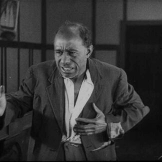 Ten Nights in a Barroom (1926) with English Subtitles on DVD