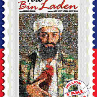Tere Bin Laden (2010) with English Subtitles on DVD