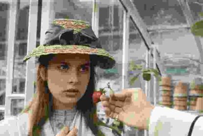 Tess (1979) Starring John Collin on DVD - Image 4