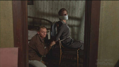That Darn Cat! (1965) Starring Hayley Mills on DVD - Image 4